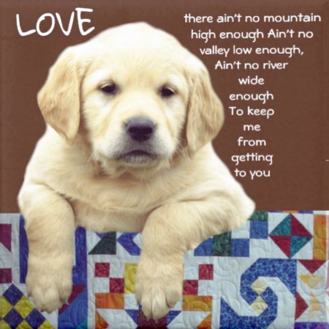 MONTRE "MA MERVEILLE" (Créateur téléchargé)