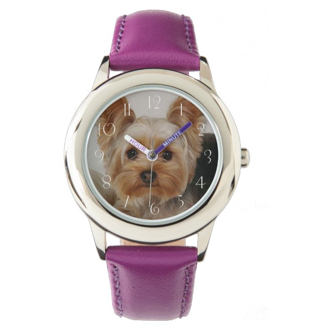 Montre Magnifique Yorkshire Terrier (devant)