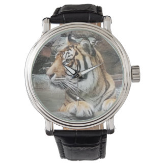 Montre Majestic Tiger