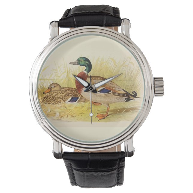 Montre Mallard Ducks (devant)