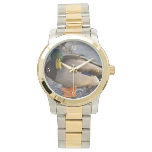 Montre Mallard Sur La Glace
