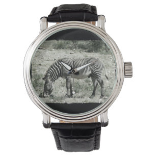 Montre Manger Zèbre