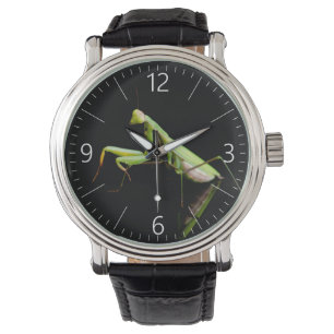 Montre Mante priante
