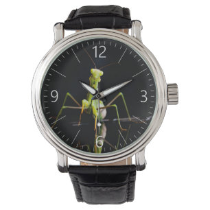 Montre Mante priante