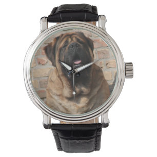 Montre Mastiff anglais