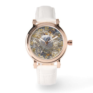 Montre Meerkat Est En Train De Construire Un Nid,
