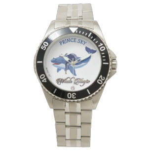 Montre Mens Prince Sky Montre en acier inoxydable