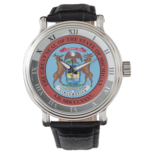 Montre Michigan (devant)