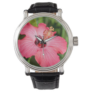 Montre Michigan, Dearborn. Détail de l'Hibiscus rose