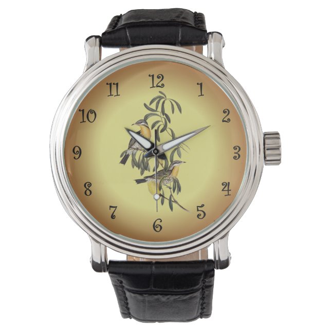 Montre Miel-Mangeur à jouet épineux ~ Elizabeth Gould 06 (devant)