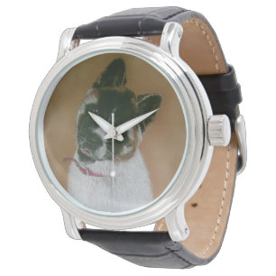 Montre mignonne japonaise/américaine d'akita de