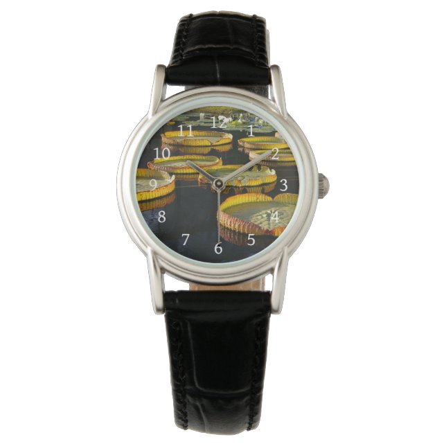 Montre modèle (devant)