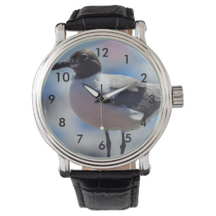 Montre Moi, un mouette