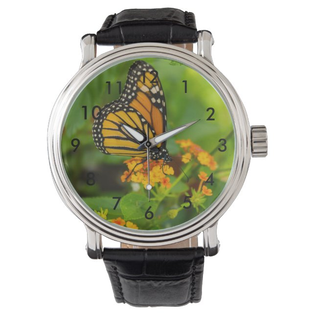Montre Monarque Sur Lantana (devant)