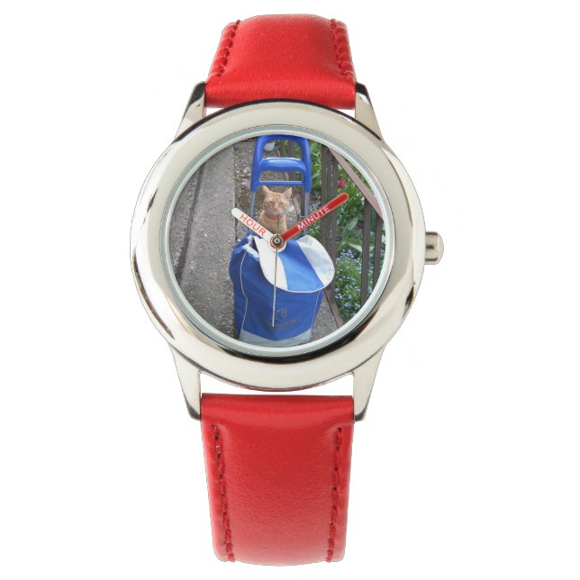Montre Montre-chat Ginger (devant)