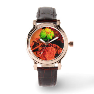 Montre mosquitus