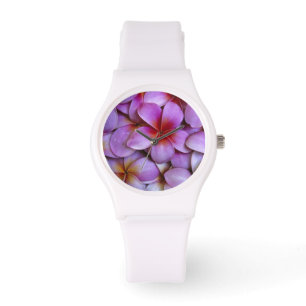 Montre N.A., États-Unis, Maui, Hawaï. Fleurs de frangipan