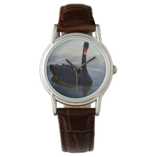 Montre Nage De Swan Noir Sur River Murray,