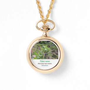 Montre Nature plante photographie plage eau nom de voyage