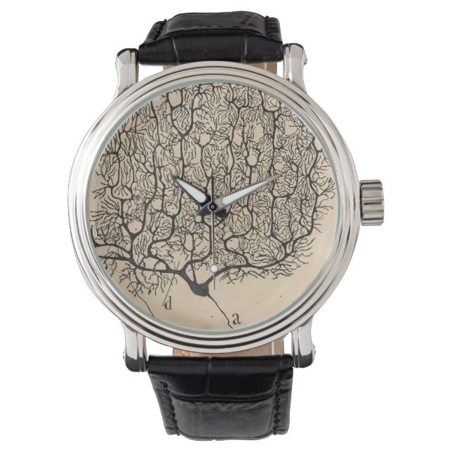 Montre Neuron Drawing By Santiago Ramón Y Cajal (devant)