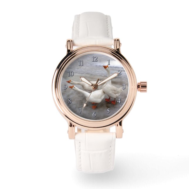 Montre Oie blanche (Recto)
