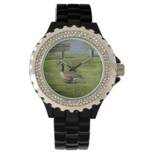 Montre Oie du Canada