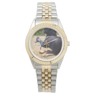 Montre Oiseau De Cassothérapie Profitant Des Melons,