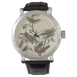 Montre Oiseaux colorés de l'art Audubon vintage Bunting p