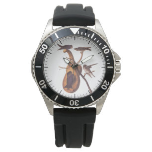 Montre Oiseaux pourpres Martin Audubon avec Gourd Home