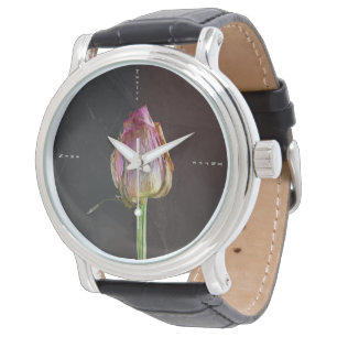 Montre Old Rose on Slate