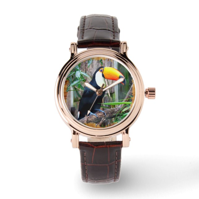 Montre Options de surveillance Toucan 5B (Recto)