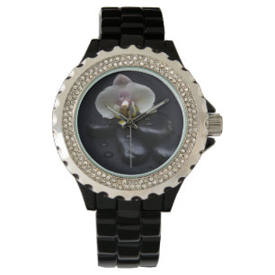 Montre Orchidée Blanche Sur Pierres Noires
