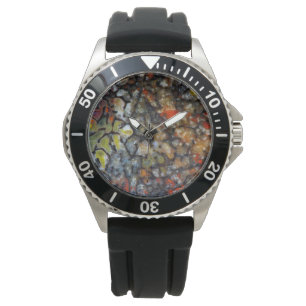 Montre Os de dinosaure coloré