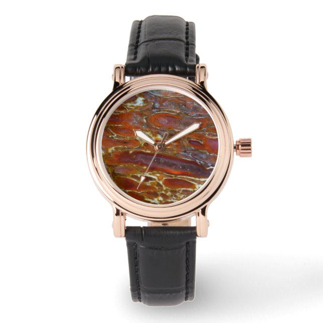 Montre Os Petrifié Dinosaure (Recto)