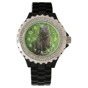 Montre Otter