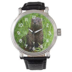 Montre Otter de la rivière Clever