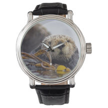 Otter Surprise