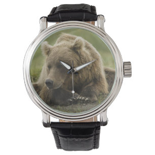 Montre Ours brun, ou Ours grizzli côtier, Ursus