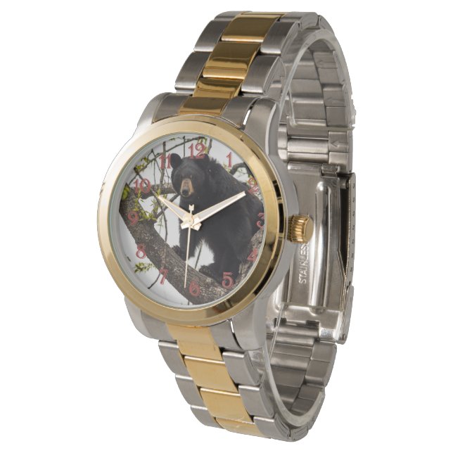 Montre Ours noir Escalade (Incliné)