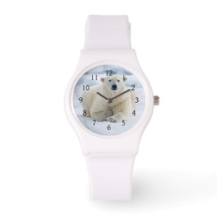 Montre Ours polaire adulte sur la glace du pack d'été