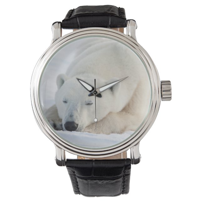 Montre Ours polaire en hiver (devant)
