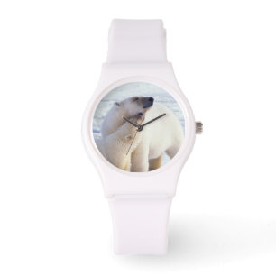Montre Ours polaire femelle avec ourson, meute