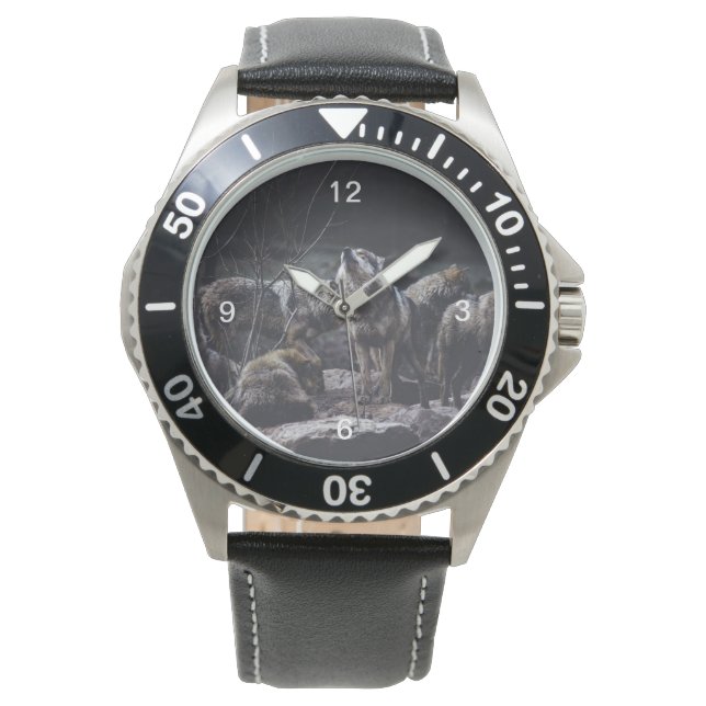 Montre Pack Wolf (devant)