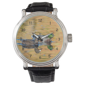 Montre Paire de Mallards