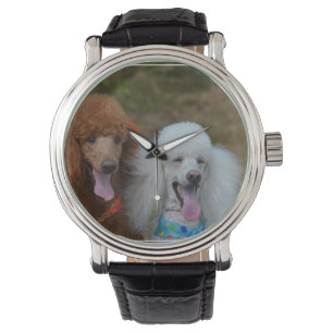 Montre Paires de caniches
