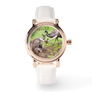 Montre Pals Peu Probables : Kangaroo Australien Et Emu,