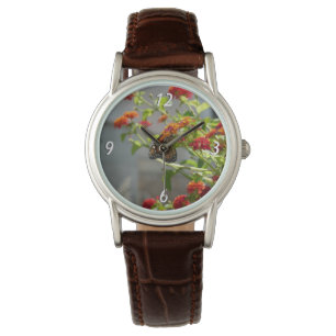 Montre Papillon monarque sur le papillon rouge Bush