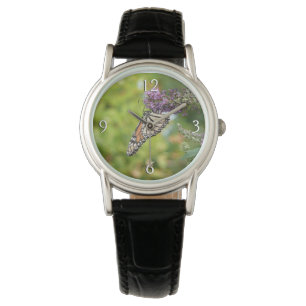 Montre Papillon Monarque sur papillon pourpre Bush
