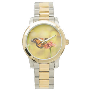 Montre Papillon Monarque sur Zinnia