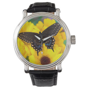 Montre Papillon Papilio polyxenes